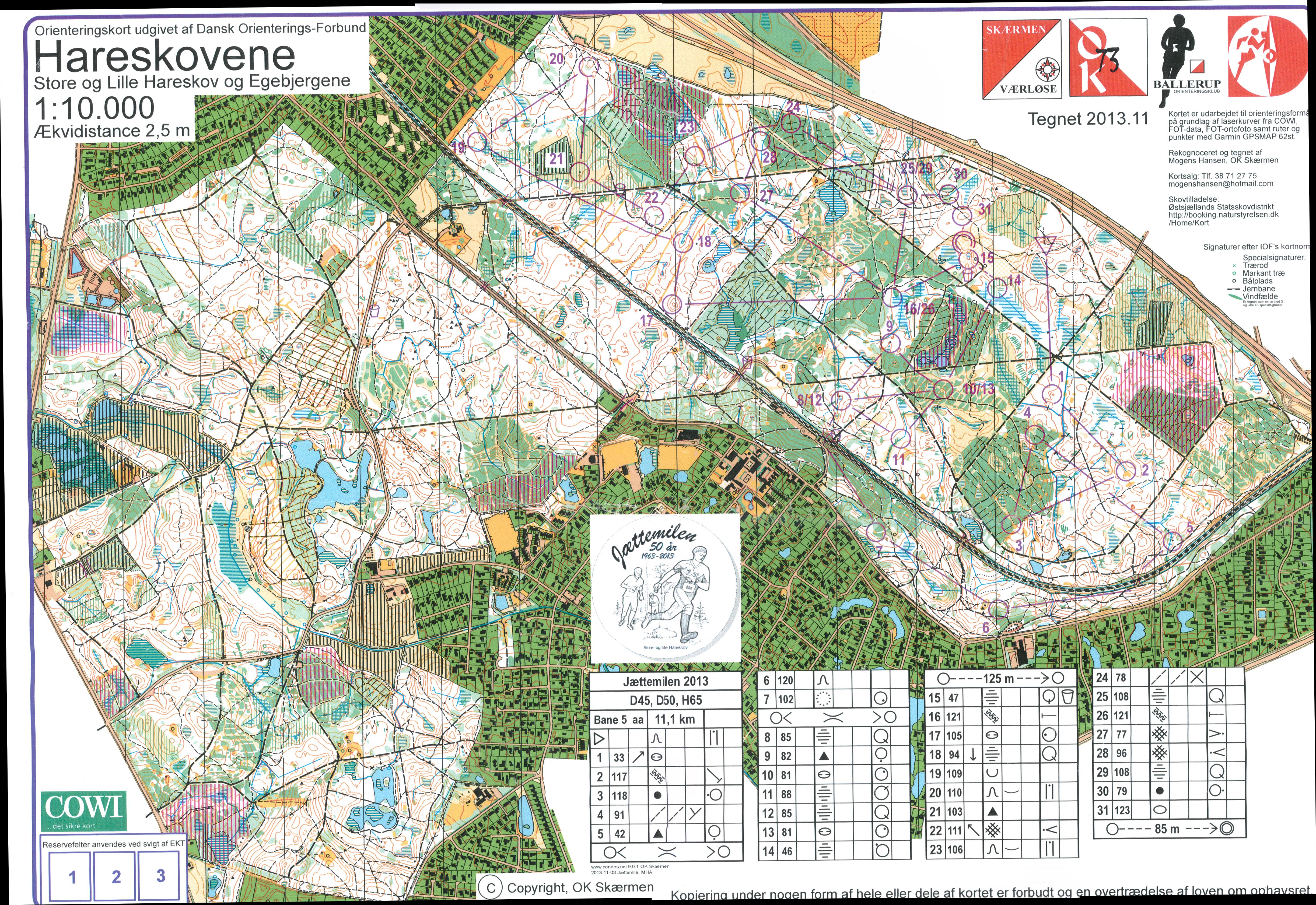 Jättemilen 2013 (2013-11-10)